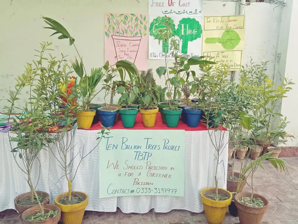 Green Seekers Activity